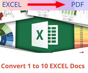 Conversion fom EXCEL to PDF